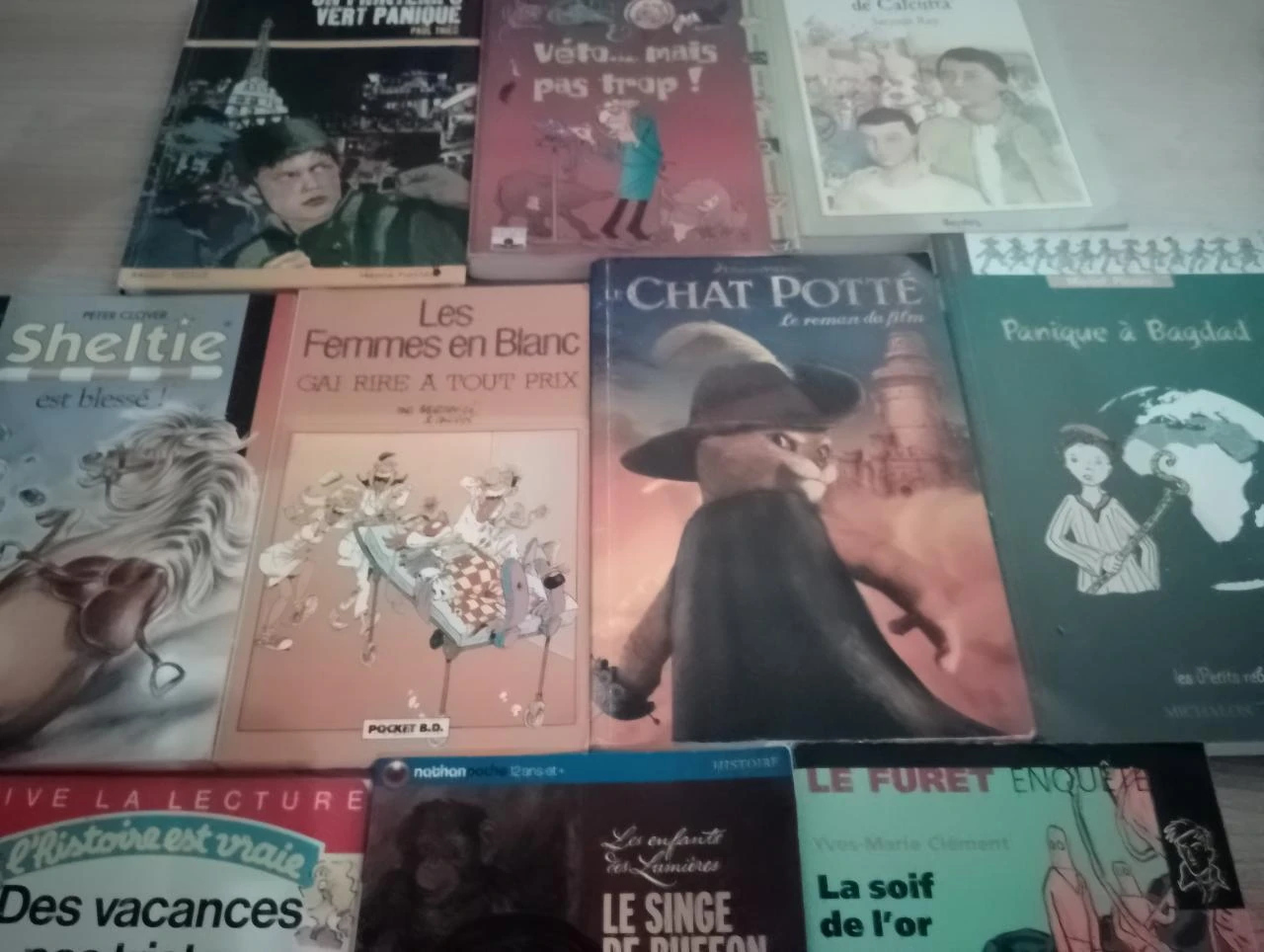 Lot de 10 livres de poches divers (2.99 les 10)(34) – photo 2